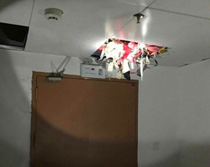 ��������ץ��һ͵����ɫħ ���2000���